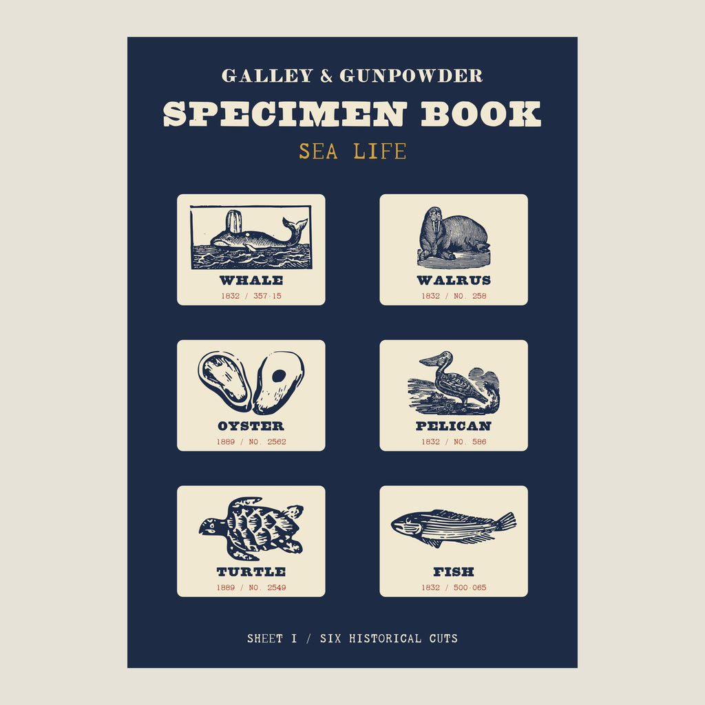 Sea Life sticker sheet: SPECIMEN BOOK, SEA LIFE on navy, with six cream stickers of a whale, walrus, oyster, pelican, turtle and fish, each with its year and cut number, and SHEET I / SIX HISTORICAL CUTS below.